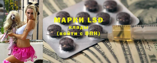 ECSTASY Алзамай