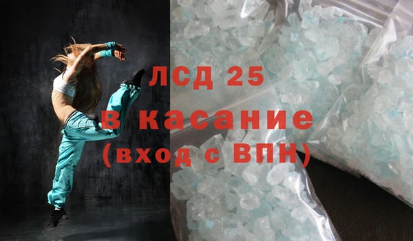 ECSTASY Алзамай