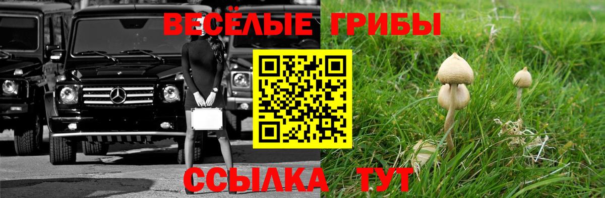 Алексеевка  Псилоцибиновые грибы ЛСД  как найти закладки  Вход с VPN 