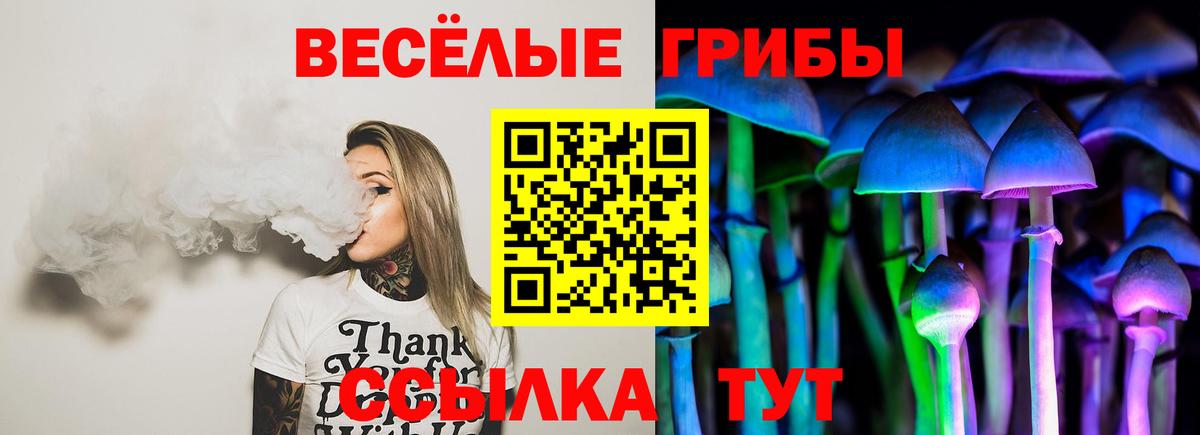 Псилоцибиновые грибы Psilocybine cubensis Алексеевка