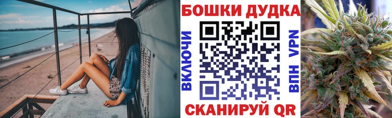 Марихуана сатива  мега ссылки  Алексеевка 